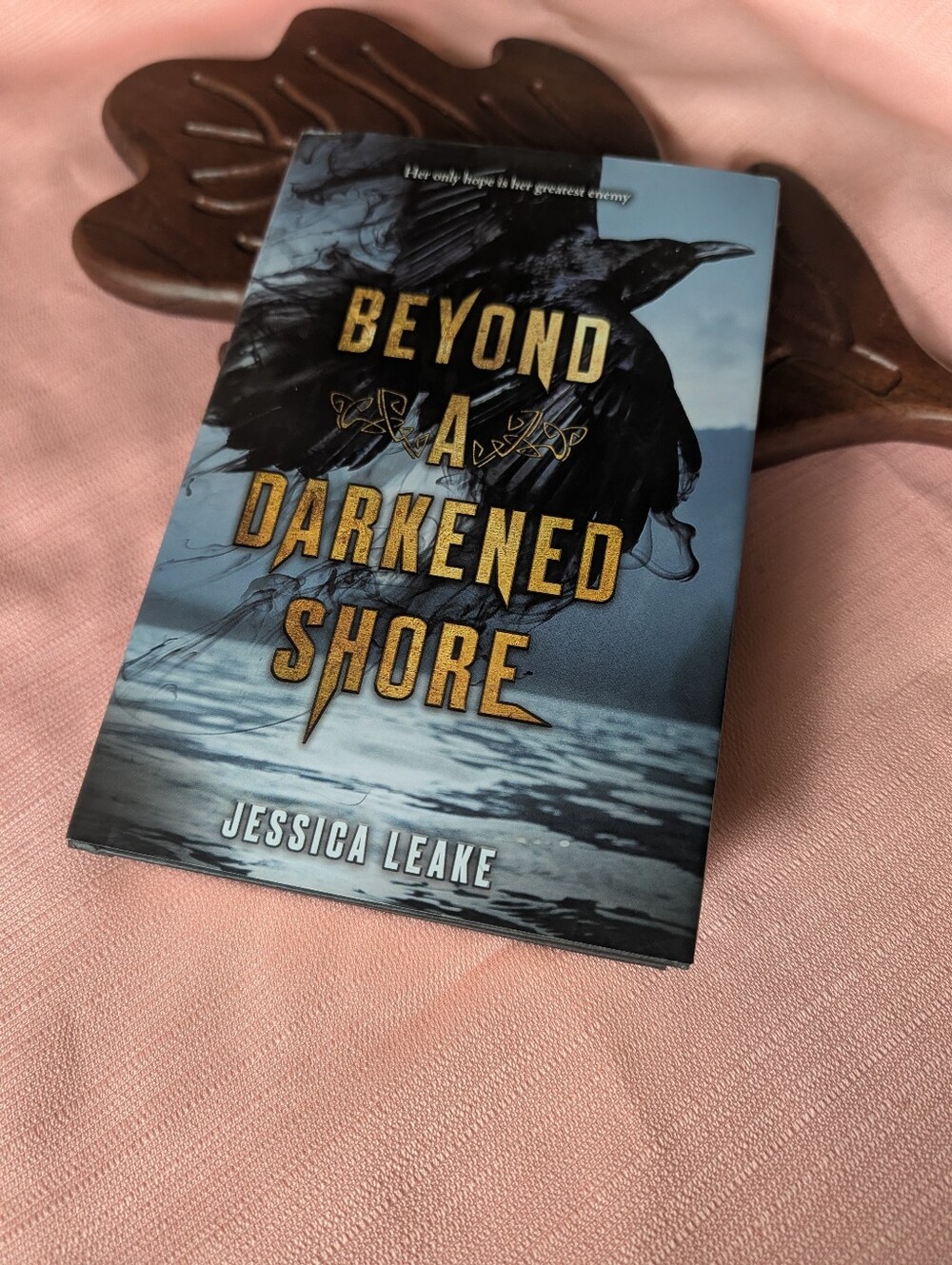 Beyond A Darkened Shore By Jessica Leake  Hardcover